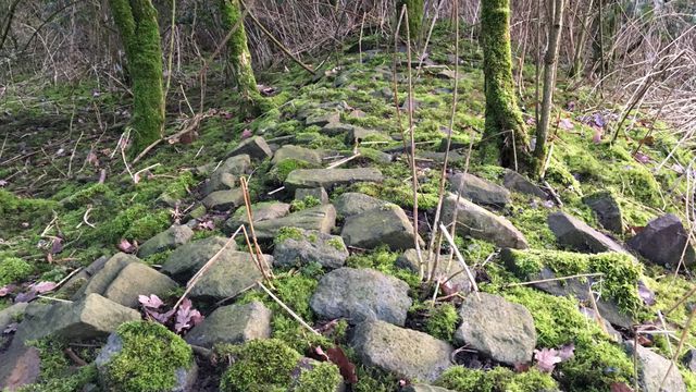 VRT News: Middeleeuwse "snelweg" ontdekt